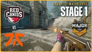 Fnatic vs RED Canids — StarLadder Budapest Major 2025