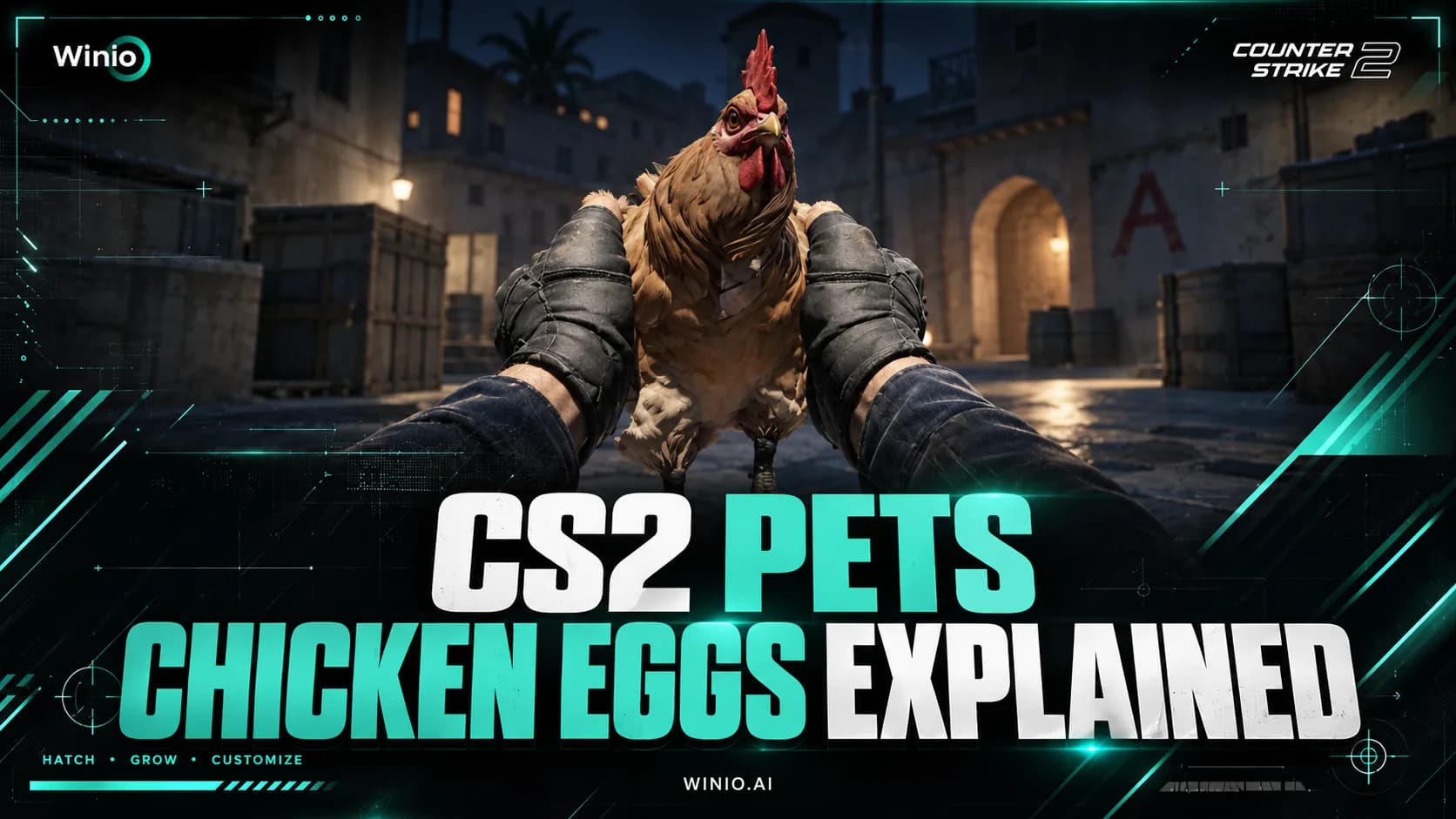 CS2 Pets Guide: How to Get and Hatch a Chicken Egg
